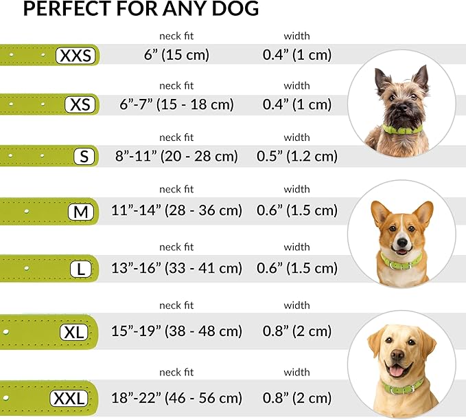 CollarDirect Rolled Leather Dog Collar, Soft Padded Round Puppy Collar, Handmade Genuine Leather Collar Dog Small Large Cat Collars 13 Colors (13-16 Inch, Lime Green Textured)