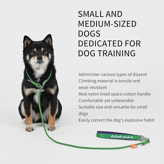 Dog Anti-Slip Leash 5FT with Metal Stopper - Durable No-Pull Training Lead for Small, Medium & Large Dogs - Comfortable Handle Nylon Rope, Tangle-Free Pet Walking Leash (Green, 5 FT)