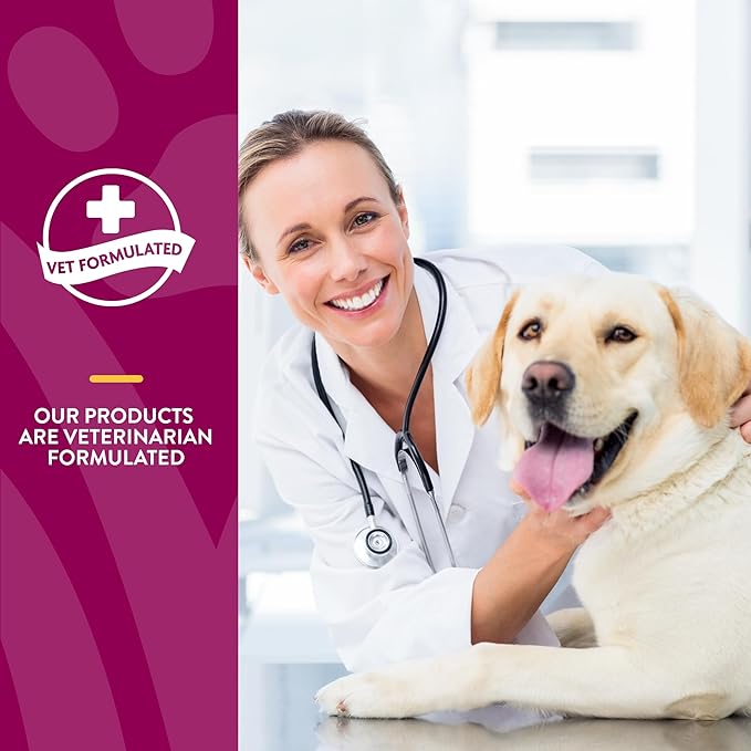 NaturVet – Glucosamine DS Plus - Level 2 Moderate Care – Supports Healthy Hip & Joint Function – Enhanced with Glucosamine, MSM & Chondroitin – for Dogs & Cats–70 Soft Chews