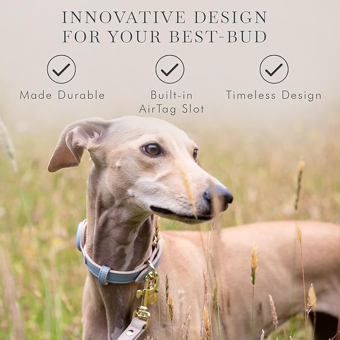 Cupertino Dog Collars, Harnesses & Leashes Made from Vegan Leather with Dog Tracker Device Holder Adjustable Dog Collar - Color Blue, Large