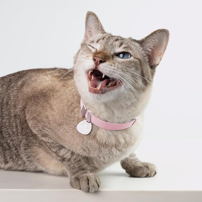 Safety Cat Collar Pro, Lightweight Elastic Release Non Breakaway Cat Collar Adjustable with Snap Fastener for Kitten All Small Large Cats, US IDA Gold Award (Alpine Green, S 5.9-11.8")