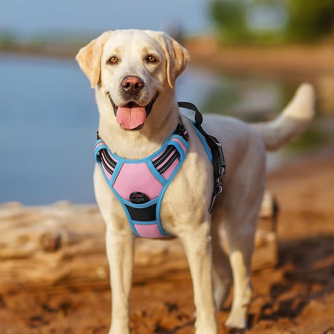 rabbitgoo Dog Harness No Pull with 2 Leash Clips, Adjustable Soft Padded, Reflective Oxford No Choke Pet Vest with Easy Control Handle for Medium Sized Dogs, Pink & Blue, M