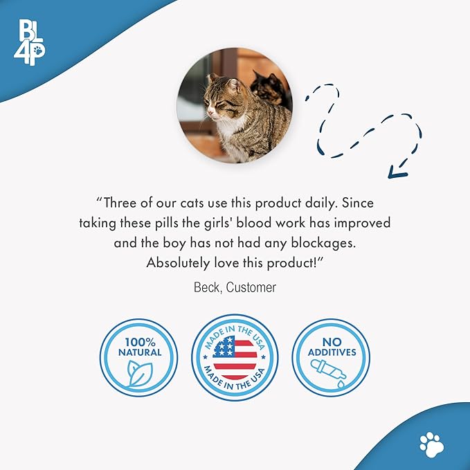 Cat UTI Remedy & Kidney Support for Cats, Natural Urinary Tract Infection and Cat Bladder Crystals Treatment Helps Flush Out Kidney Stones, Clears Infection, & Improves Kidneys Health, 400 Tiny Pills