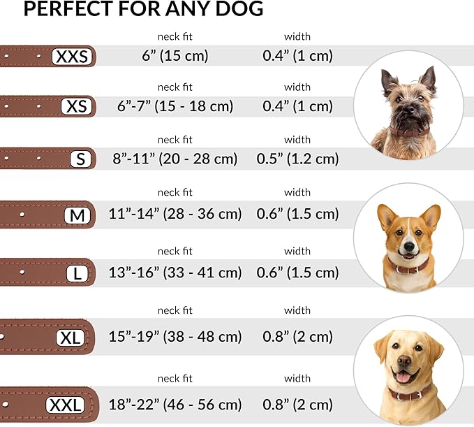 CollarDirect Rolled Leather Dog Collar, Soft Padded Round Puppy Collar, Handmade Genuine Leather Collar Dog Small Large Cat Collars 13 Colors (18-22 Inch, Cinnamon Smooth)