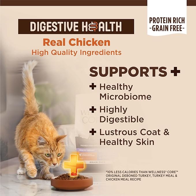 Wellness CORE+ Adult Dry Cat Food for Indoor and Outdoor Cats, Wholesome Grains, Natural, Digestive Health Chicken & Rice (11 Pound Bag)