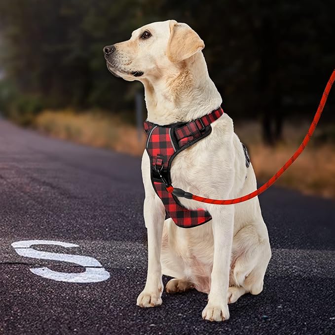 IVY&LANE No Pull Dog Harness with Leash Set, Reflective No Choke Pet Vest,Adjustable Oxford Dog Vest Harness with Easy Control Handle for Large Dogs (Checkered Red,XL)