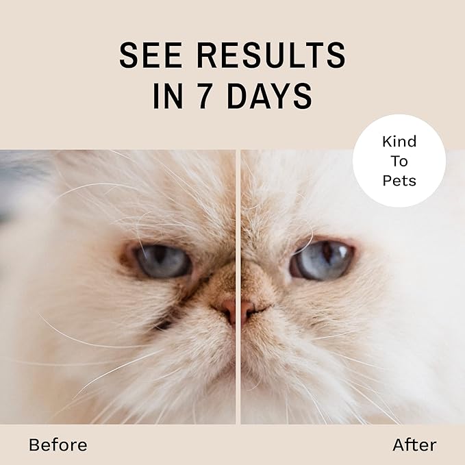 Eye Envy Tear Stain Remover Powder for Dogs and Cats. 100% Natural, Safe. Apply Around Eyes. Absorbs and Repels Tears. Keeps Area Dry. Treats The Cause of Staining. Made in The USA (2.5 oz)