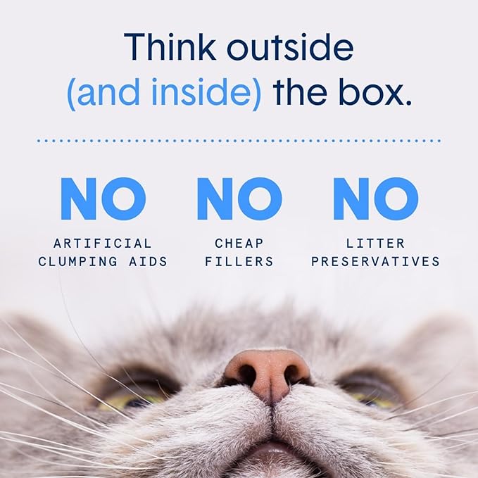 Boxie Gently Scented Cat Litter, Lightweight 30-Day Odor Control, Clumping, 6.5lb