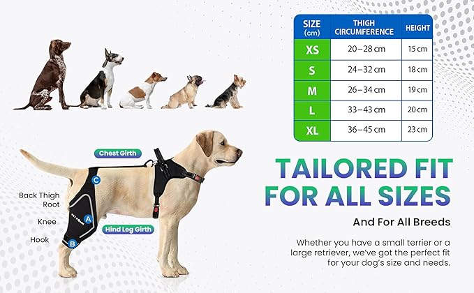 Comfortable Dog Knee Brace for Both Hind Legs with Harness - for ACL Tear, Luxating Patellae, Osteoarthritis & Instability - for Recovery & Injury Prevention in Active/Aging Dogs - (Small)