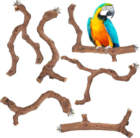 6-Piece Premium Bird Perch Stand with Natural Grape Wood Branch, Paw Grinding Fork, Chewing Stick, Cage Accessories for Parakeets, Budgies, Cockatiels, Finches, Lovebirds
