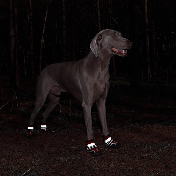 Dog Shoes, Waterproof Dog Boots & Paw Protectors with Anti-Slip Sole, 4pcs/Set Pet Dog Booties, Reflective Dog Shoes for Small Medium Large, Winter Snowy Summer Hot Pavement (Red, 8# (2XL))