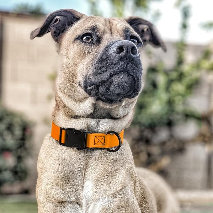 Dogline Biothane Waterproof Dog Collar with Quick Release Buckle Strong Coated Nylon Webbing with Odor- Proof for Easy Care Easy to Clean Fits Small Medium Large Dogs, Tangerine Orange 3/4" W 12-19" L