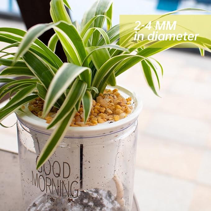 7lb Cactus Pea Gravel Rocks,1/5 Inch Pebbles for Indoor Plants, Natural Succulent Rock and River Rocks Decorative for Aquariums, Vases, Terrarium, Outdoor Gardening, Top Dressing for Potted Plants