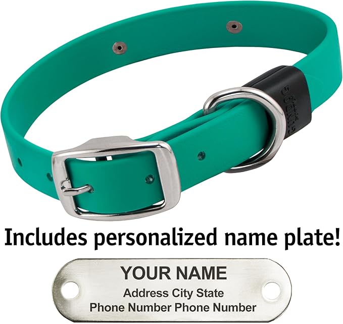 Biothane Custom Dog Collar – Waterproof, Stink-Proof Personalized Collar with Name & Phone Number – Durable, Many Sizes and Colors – Assembled in USA – Assembled in USA (Teal)