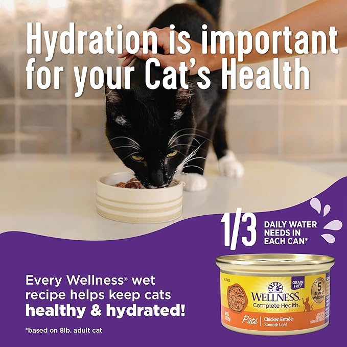 Wellness Complete Health Pate Kitten Wet Cat Food, Natural, Protein-Rich, Grain Free, 5.5 Ounce, 24 Pack, (Whitefish & Tuna)