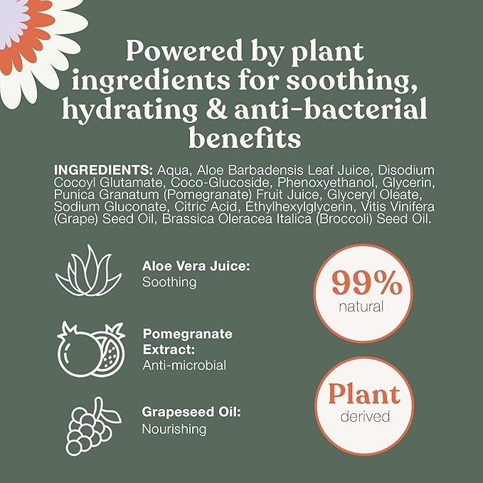 Dandylion Clean Paws No-Rinse Foaming Cleanser Refill – Gentle, Fragrance-Free, pH-Balanced for Dogs, 10 fl oz