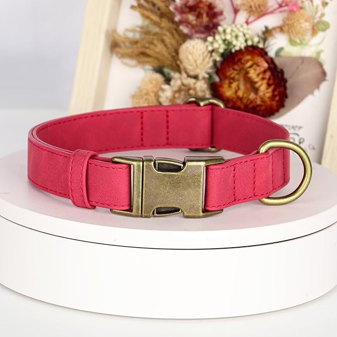 Didog Soft PU Leather Dog Collar, Stylish Quick Released Dog Collars for Small Dogs, Easy Clean Adjustable Pet Collar for Daily Walking, Red, S Fit 10-16" Neck