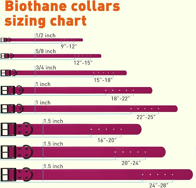 Dogline Biothane Waterproof Dog Collar Strong Coated Nylon Webbing with Black Hardware Odor- Proof for Easy Care Easy to Clean High Performance Fits Small Medium or Large Dogs, Magenta Pink