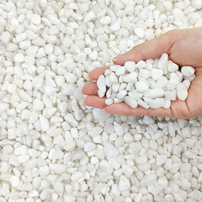 5 lbs White Pebbles for Indoor Plants, 3/8 Inch Decorative White Gravel, Polished River Rocks for Potted Plants Vase Cactus Bird Bath and Outdoor Garden Landscaping