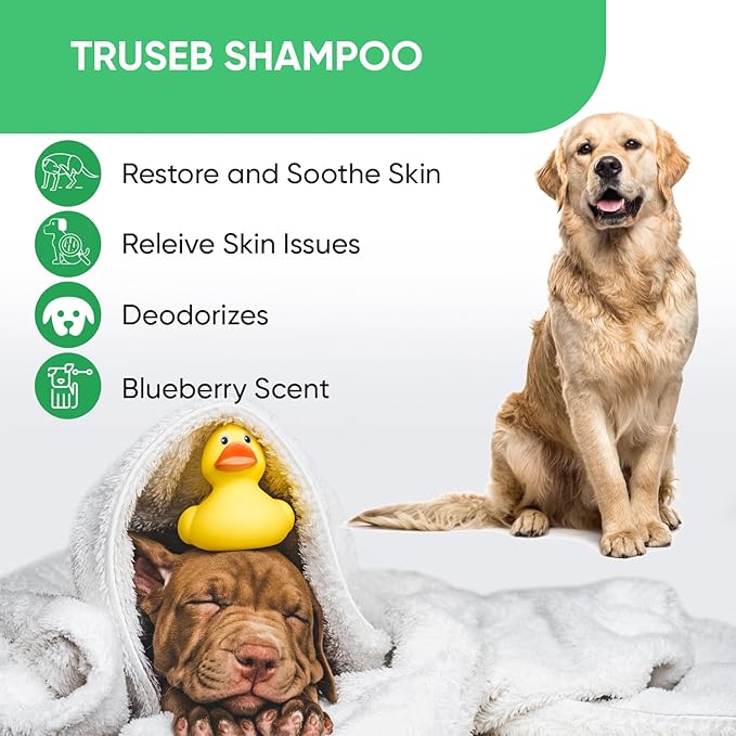 Topical Chlorhexidine 4% Shampoo for Dogs, Cats & Horses (Gallon)- with Aloe for Cleansing (USA) (Chlorhexidine 4% Shampoo, 1 Gallon)