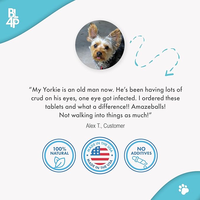 Dog Eye Care & Infection Treatment, Natural Dog Supplements for Conjunctivitis, Swelling, Dry Eyes and Discharge, Easy to Use, No More Struggle with Canine Drops, 400 Small Pills