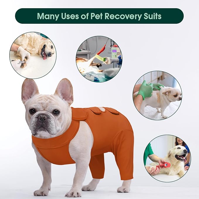 Kuoser Dog Surgery Recovery Suit for Rear Legs, Thigh Wound Protective Sleeve for Dogs, Dog Recovery Sleeve for Female Male Dogs, Dog Onesie After Surgery Pet Surgical Suit for Spay Neuter, Brown S