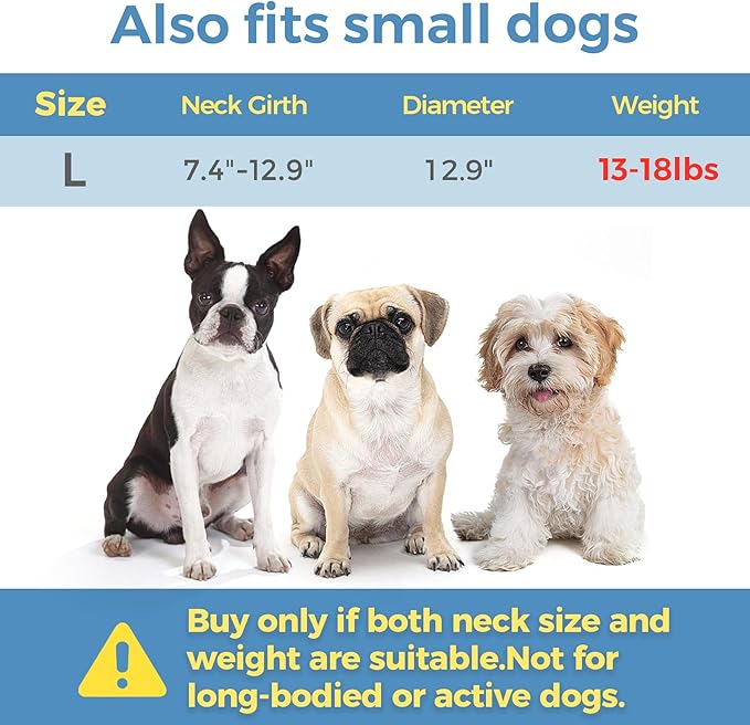 ComSaf Soft, Protective Adjustable Cat Cone Collar to Stop Licking After Surgery, Comfortable Lightweight Elizabethan Collar for Large Cat and Small Dog, Dog Recovery Collar Prevents Licking Wounds