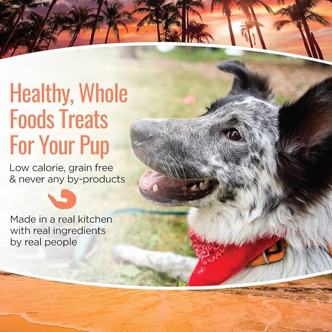 Smart Cookie All Natural Soft Dog Treats - Shrimp & Coconut - Healthy Dog Treats for Allergies, Sensitive Stomachs - Chewy, Grain Free, Human-Grade, Made in The USA - 5oz Bag, 1 Pack