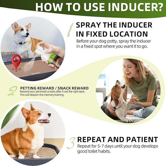 Dog Potty Training Spray for Dogs and Puppies - Go Here Attractant Spray to Pee and Poop in One Spot,Safe & Effective Puppy Pee Spray Indoor & Outdoor-Dog Training & Housebreaking Aid -100ml