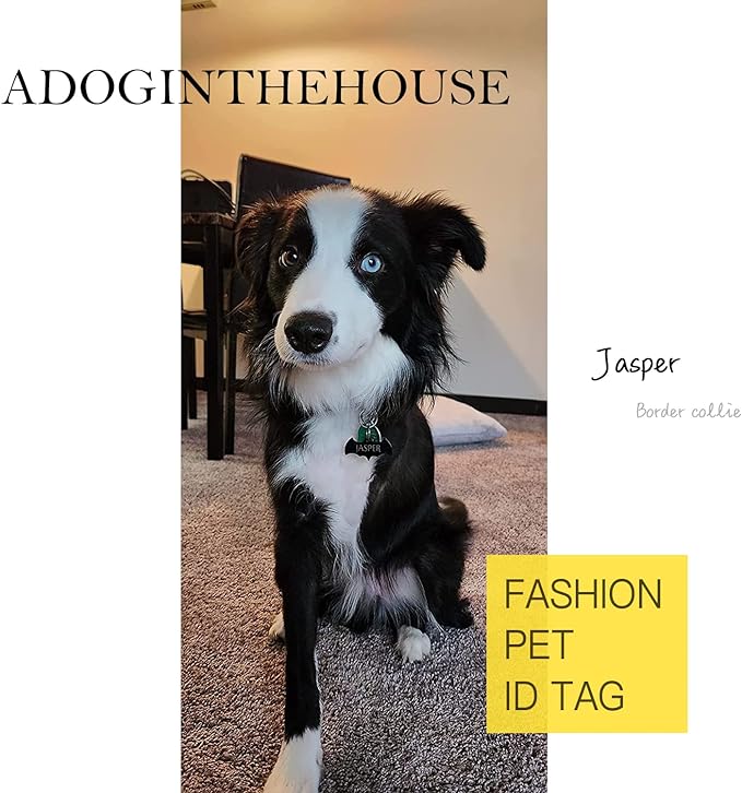 316 Surgical Grade Stainless Steel Personalized Dog & Cat ID Tags - Made with Three Thousand Love for Our Fur-Baby - Original Funny Shapes Heart, Engraved Name or Text for Pet Collar Accessories