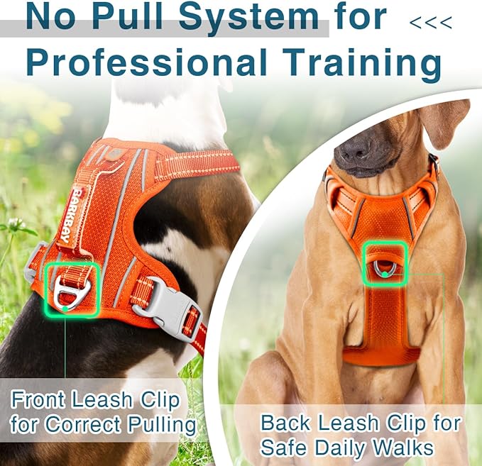 BARKBAY Dog Harness No Pull with ID Tag Pocket - Heavy Duty, Reflective, Easy Control for Large Dogs(Orange,M)