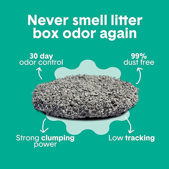 Boxiecat Gently Scented Premium Clumping Clay Cat Litter, 40-Pounds