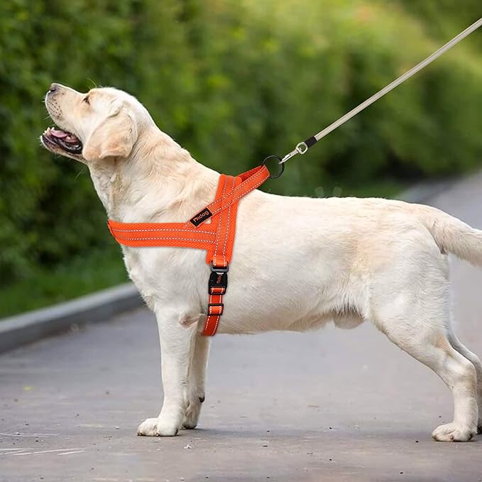 Didog No Pull Dog Harness with Soft Mesh Padded,Reflective & Quick Fit Light Weight Dog Strap Vest Harness,Easy for Walking Training (L:Chest 26-32", Orange)
