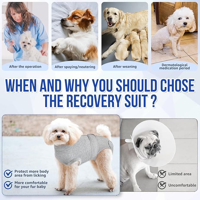 Lukovee Recovery Suit for Dogs, Zipper On Recovery Suit for Female Male Dog, Onesie Abdominal Wounds Cone E-Collar Alternative Prevent Licking Spay Recovery Suit (Small, Grey)