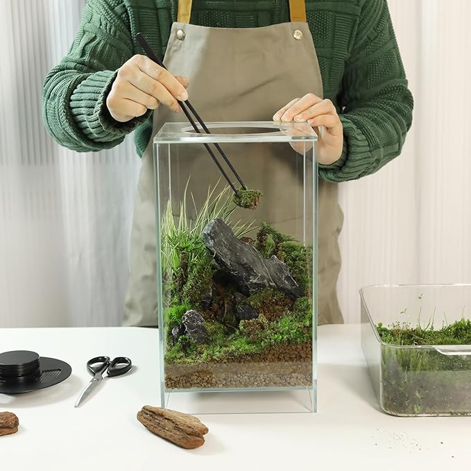 Desktop Glass Plant Terrarium with Grow Light(L7.8 W7.8 H14), for Succulent, Moss, Miniature Gardening Landscape, Betta Fish Tank, Indoor Plant Growth, Office Home Decoration (TimeControlled)