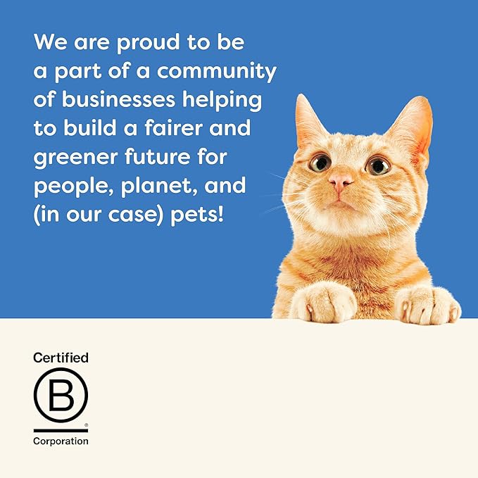 Applaws Natural Wet Cat Food in Gravy, Limited Ingredient Wet Cat Food Pouches, No Additives, Made with Natural Ingredients, Tuna with Salmon in Gravy (12 x 2.47oz Pouches)