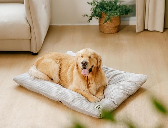 FUNNY FUZZY Washable Dog Bed,Reversible Plush Dog Crate Mat, Soft Fluffy Kennel Pad,Pet Sleeping Mattress for Large,Jumbo,Medium Sized Dogs Breeds,Indoor Cats,41.7" × 28.3", Light Grey