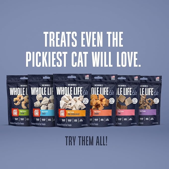 Whole Life Cat Just One Salmon Freeze Dried Cat Treats - Human Grade High Protein Food, Healthy Training Snacks, Freeze Dried Salmon Food Toppers, USA Made Natural Treats - 8 oz (Pack of 1)