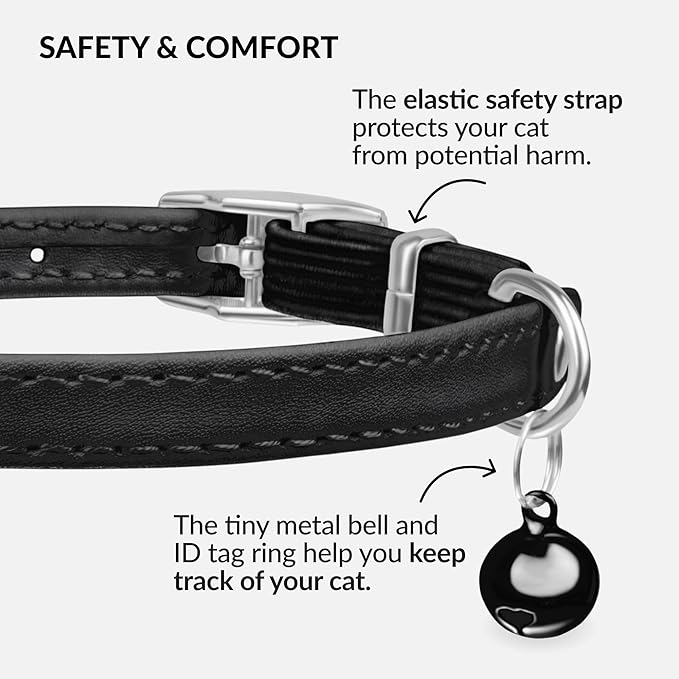 CollarDirect Leather Cat Collar with Bell - Kitten Collar, Small and Big Cat Strap for Boy Cats, Girl Cats with Safety Elastic Strap (Neck Fit 8"-11", Black)