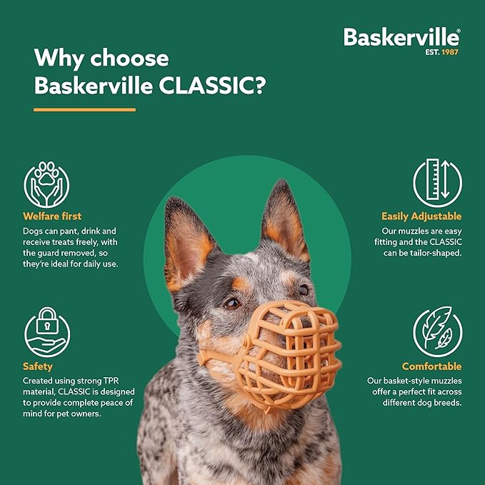 Baskerville Classic Basket Muzzle - Dog can Pant and Drink, Prevents Biting and Food Waste Scavenging, Strong TPR, Ideal for Longer Nosed Dogs, Breathable Dog Training Muzzle for Small Dogs (Size 2)