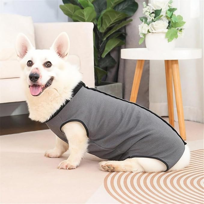 Dog Surgery Recovery Suit,Abdominal Surgical Suit for Dogs,Recovery Suit for Dogs,Prevent Licking Surgical Wound Dog Cone Alternative Grey S