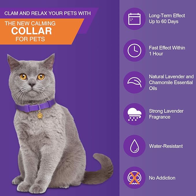 4 Pcs Cat Calming Collar Adjustable Lavender Scent Relaxing Cat Collar with 2 Pendant for Puppies Reduce Stress Aggression Anxious, up to 15 Inches(Purple, Gold)