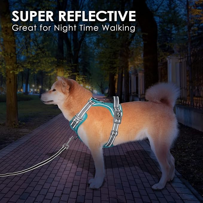 PHOEPET No Pull Dog Harness, Unique Colors Reflective Adjustable Dog Vest, with Soft Training Handle Metal Clips for Small Medium Large Dogs (Mint Green Base & Grey Straps,S)