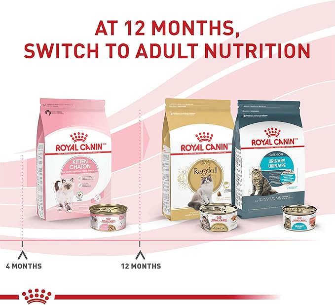 Royal Canin Feline Health Nutrition Kitten Thin Slices in Gravy Canned Cat Food, 3 oz., Count of 24