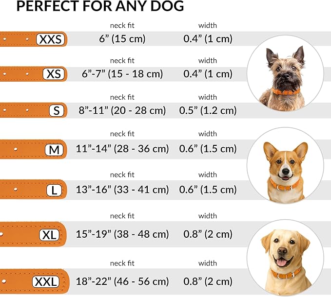 CollarDirect Rolled Leather Dog Collar, Soft Padded Round Puppy Collar, Handmade Genuine Leather Collar Dog Small Large Cat Collars 13 Colors (8-11 Inch, Orange Smooth)