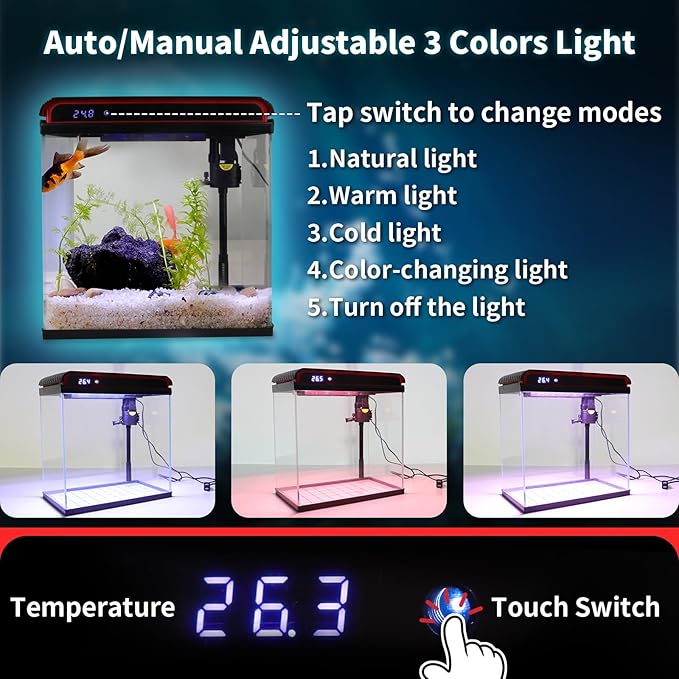 20 Gallon Fish Tank, Large Betta Tank with Glass Aquarium Starter Kits Self Cleaning with 3 Types of LED Lights and Filter Water Pump, Ultra Quiet Decoration Kids Room Gift Decor