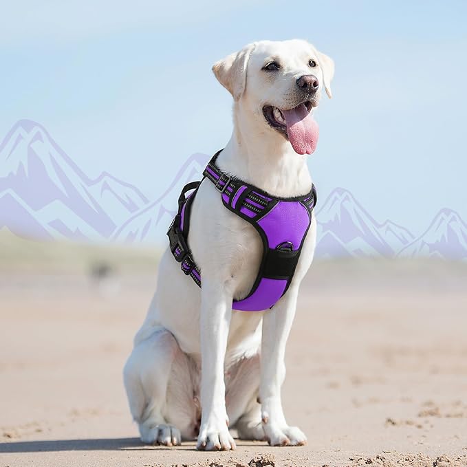 Eagloo Dog Harness for Large Dogs, No Pull Service Vest with Reflective Strips and Control Handle, Adjustable and Comfortable for Easy Walking, No Choke Pet Harness with 2 Metal Rings, Purple, L
