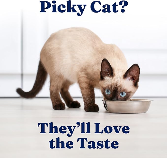 Solid Gold Wet Cat Food Shreds in Gravy - Healthy Canned Cat Food Made w/Real Chicken & Pumpkin Shreds, Vitamins & Minerals - Grain Free & Gluten Free Canned Meals for Cats & Kittens - 24ct/3oz Can