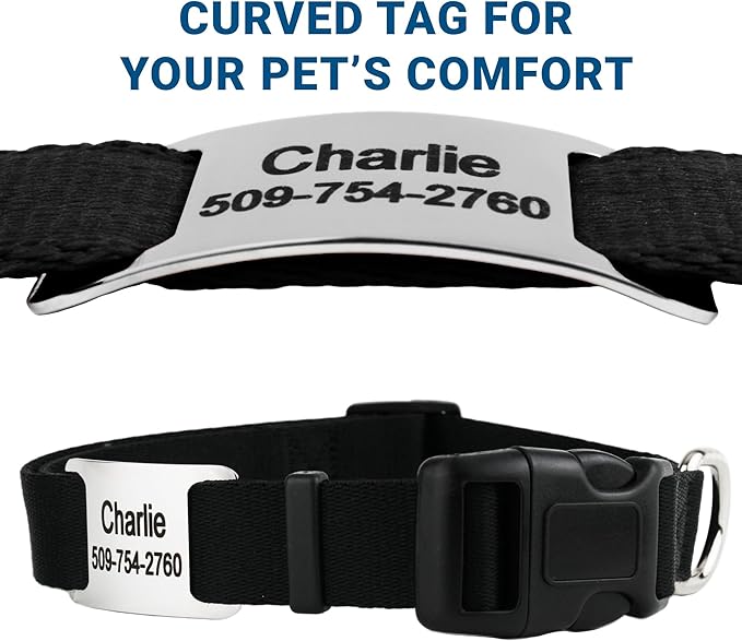 GoTags Reflective Personalized Dog Collar with Nameplate, Adjustable Dog Collar with Custom Engraved Steel Slide On Pet ID Tag, Silent, No Noise Dog Tag for Large Medium or Small (Beige, Small)