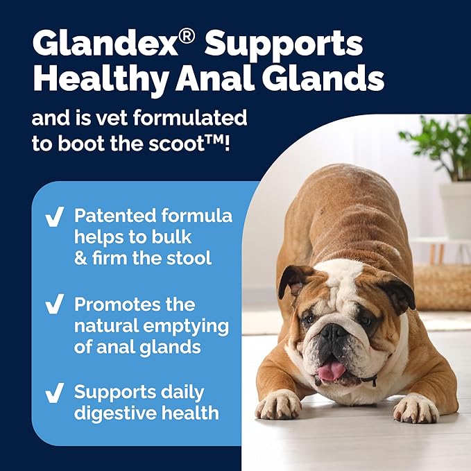 Glandex Dog Fiber Supplement Powder for Anal Glands with Pumpkin, Digestive Enzymes & Probiotics - (Regular or Advanced Strength) - Boot The Scoot (4.25 oz, Advanced Strength Duck & Bacon)